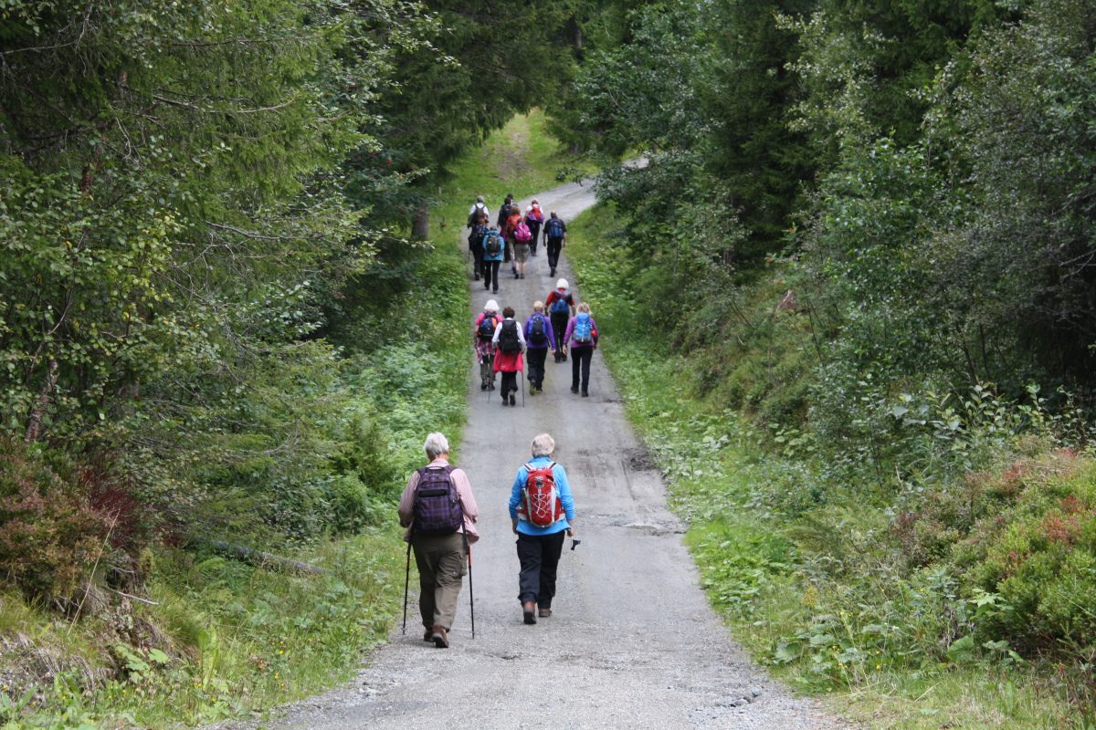 Vi starter vår vandring mot Nidaros Foto Mette Østerhus