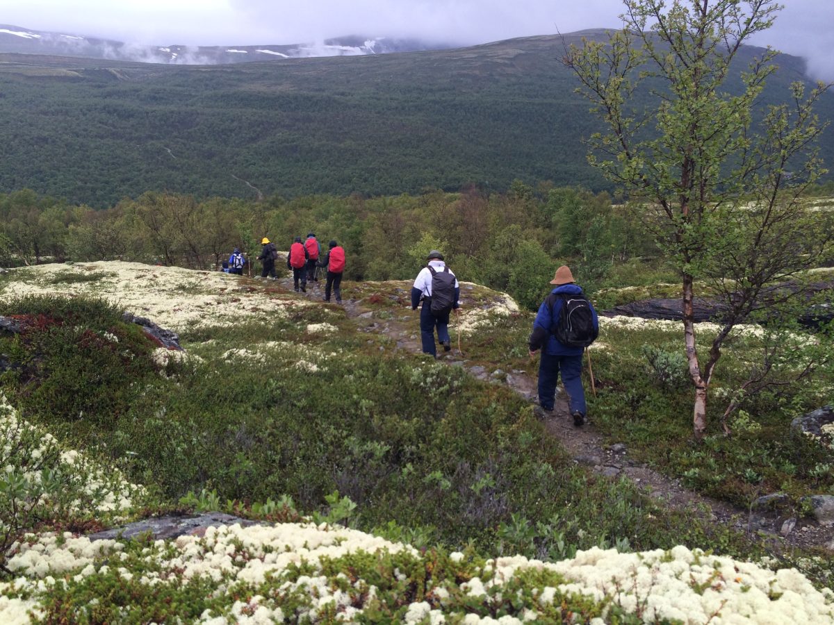 Over Hjerkinn