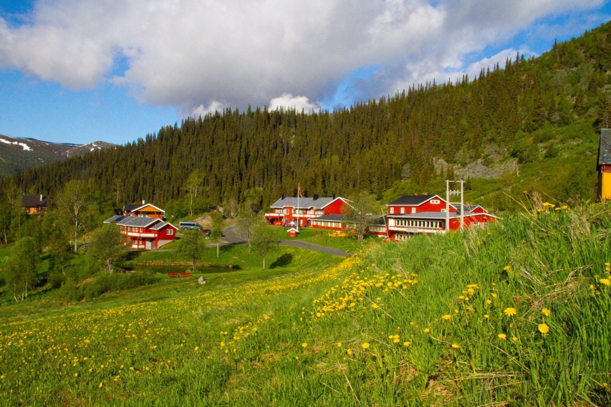 Les mer