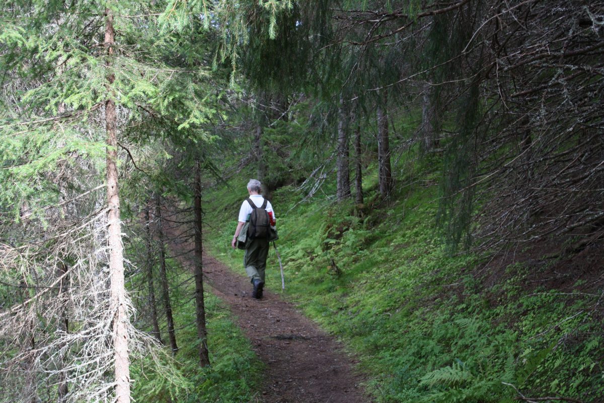 Vandring mot Nidaros sammen eller en stund alene