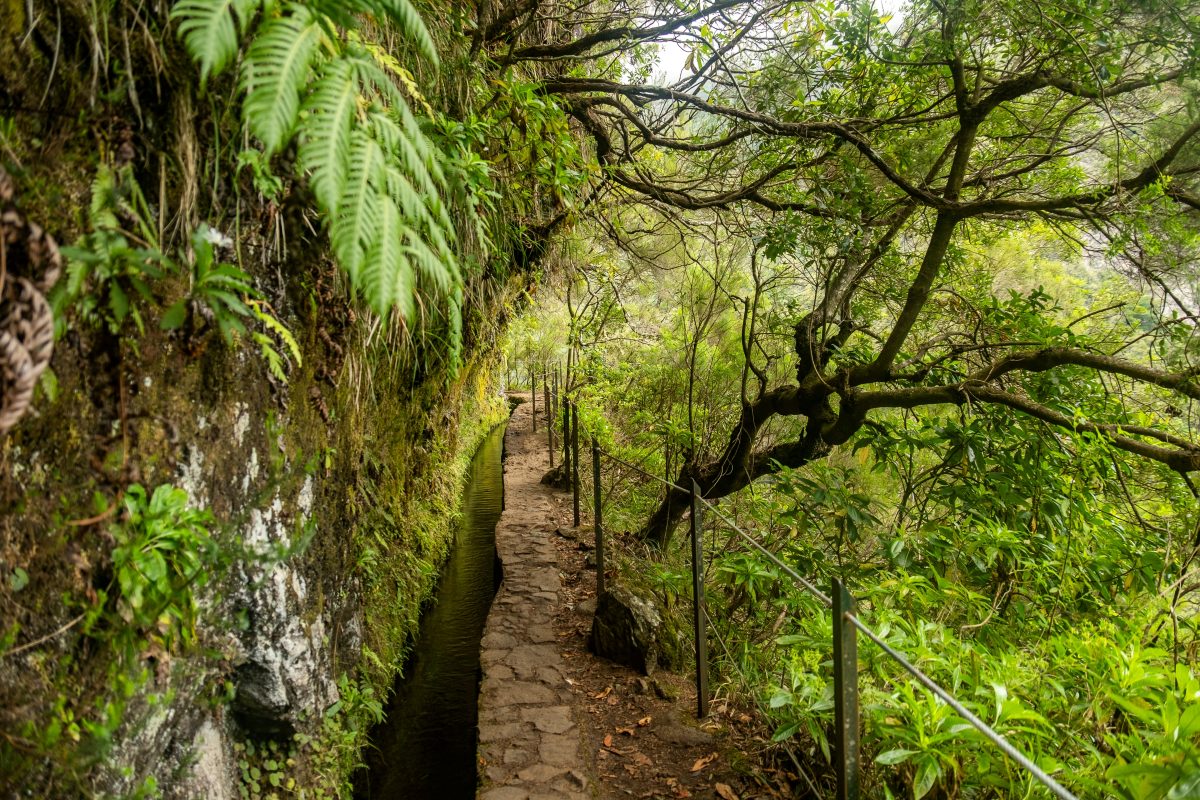 Levada vandring på Madeira