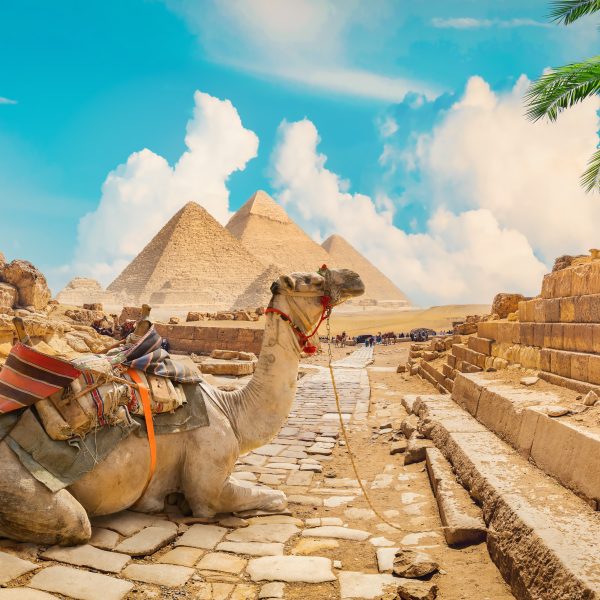 Egypt med Eyvind Skeie → i sporene til Biskop Thomas